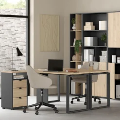 Boekenkast Bram Donkergrijs / Eiken - 41x205x35 cm