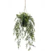 Hangplant Boxwood Groen - 50 cm hoog