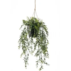 Hangplant Boxwood Groen - 50 cm hoog