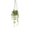 Hangplant Philodendron Groen - 90 cm hoog