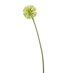Kunstbloem Allium Groen - 60 cm