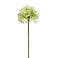 Kunstbloem Allium Groen - 62 cm
