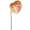 Kunstbloem Anthurium Groen / Roze - 65 cm