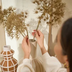 Kunstbloem Heracleum Bruin - 80 cm