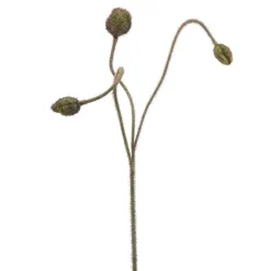 Kunstbloem Poppy Green - 75 cm