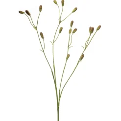 Kunstbloem Sanguisorba Groen / Bruin - 78 cm