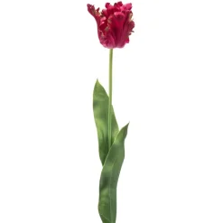 Kunstbloem Tulip Donkerroze - 68 cm
