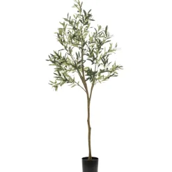 Kunstplant Olive Groen - 180 cm hoog