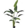 Kunstplant Strelitzia Groen - 230  cm hoog