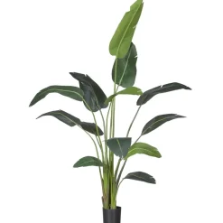 Kunstplant Strelitzia Groen - 230  cm hoog