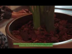 Kunstplant Strelitzia Groen - 230  cm hoog