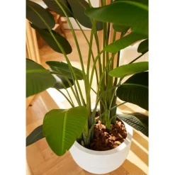 Kunstplant Strelitzia Groen - 230  cm hoog