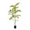 Kunstplant Terminalia Groen - 145 cm hoog