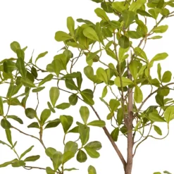 Kunstplant Terminalia Groen - 145 cm hoog