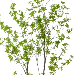 Kunstplant Tropaeolum Speciosum Groen - 120 cm hoog