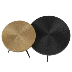 Salontafel Foti  Zwart / Brons- set 2 stuks