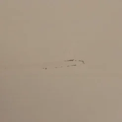 VTwonen Kast Daily Greige - 50x200x58 cm