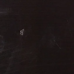 WOOOD TV-meubel Finca Zwart - 100x40x40 cm