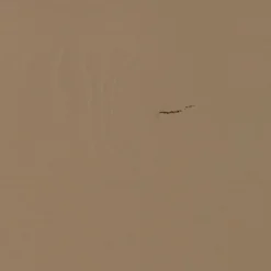 WOOOD Wandkast Lowen Mud - 100x221x44 cm