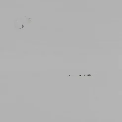 WOOOD Wandkast Organize Mist - 110x215x44 cm