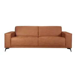 3-Zitsbank Pampus Diep Cognac